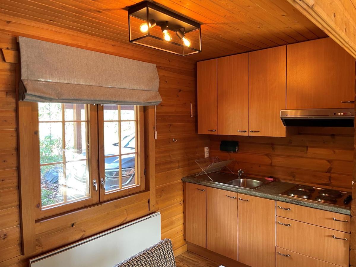 Chalet Du Val 53 Vesin Eksteriør bilde